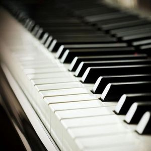 美女裸体❌❌色色视频
